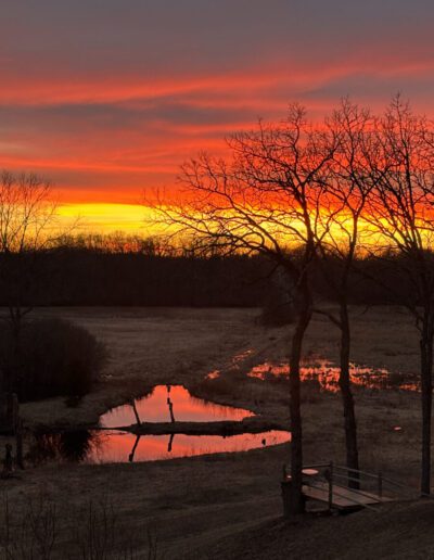 What's Happening in Wisconsin: Your View and the Badger State Buzz (April 20-26)