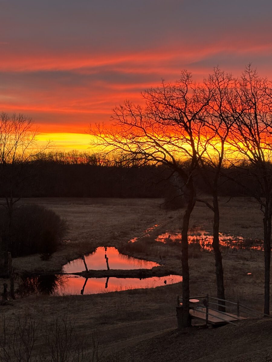 What's Happening in Wisconsin: Your View and the Badger State Buzz (April 20-26)