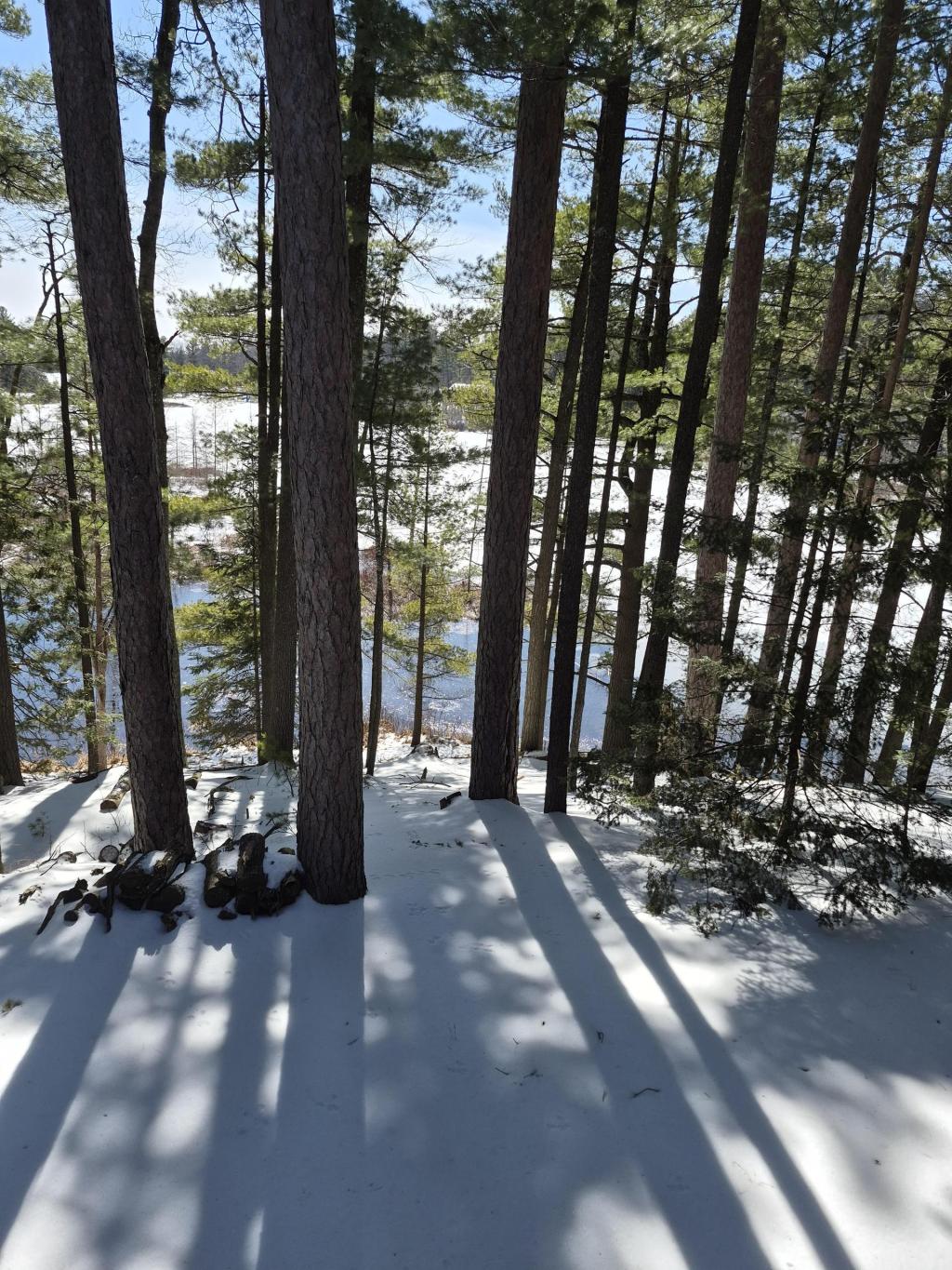 How Wisconsin voted on school referendums