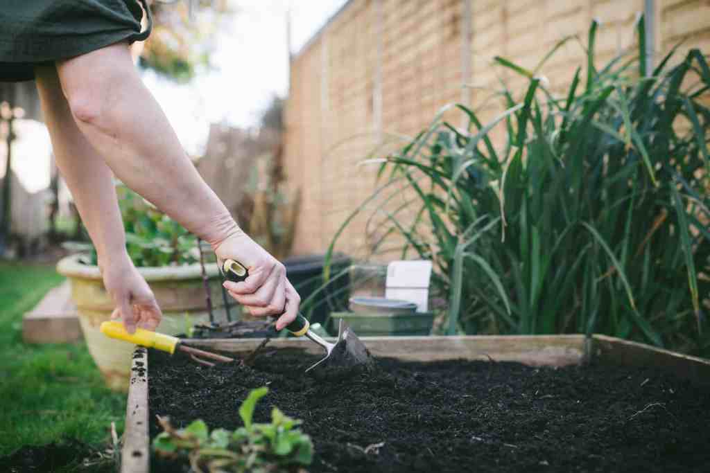 When to start gardening in Wisconsin (& what to plant first)