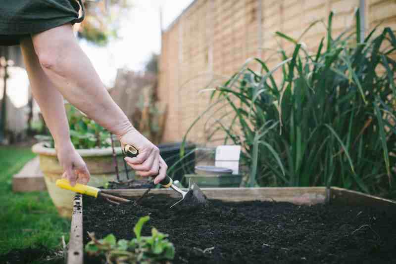 When gardening in Wisconsin, the conventional line of thinking is that you shouldn’t plant anything until after Memorial Day.