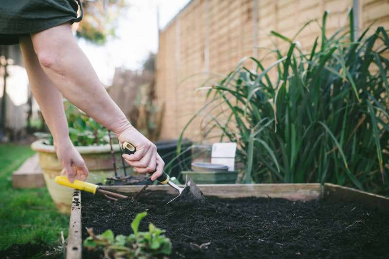 When gardening in Wisconsin, the conventional line of thinking is that you shouldn’t plant anything until after Memorial Day.