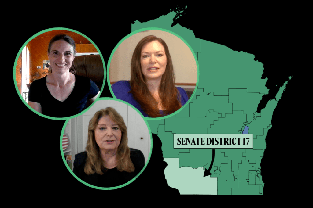 Meet the 3 Democrats who want to unseat a powerful but vulnerable legislator
