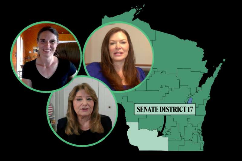 State Senate District 17 Wisconsin Hendrickson White Jacobson