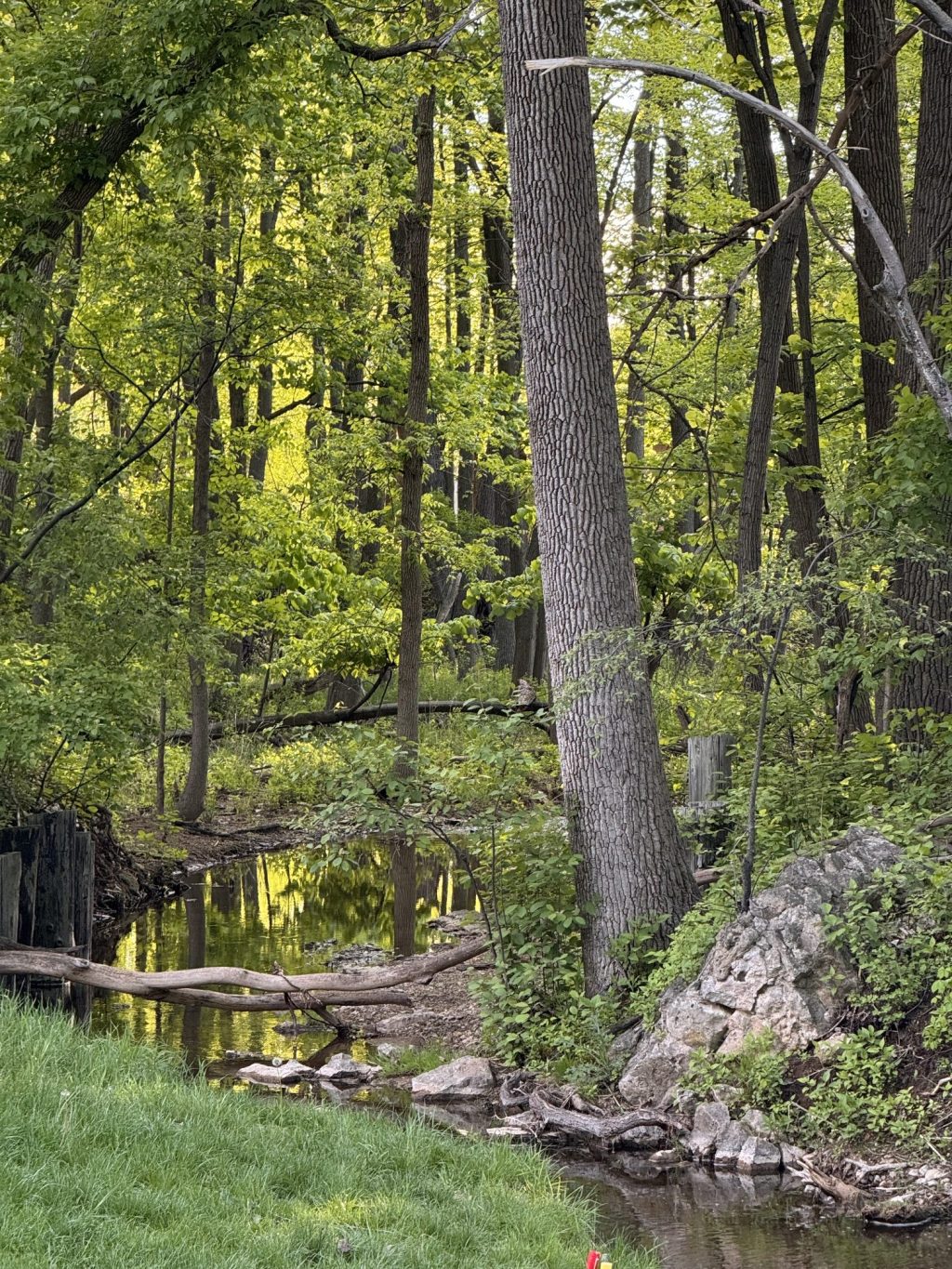It’s patio season! Here’s where to go in WI.