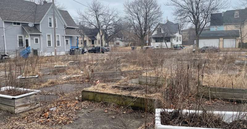 A Milwaukee community garden behind a residential area