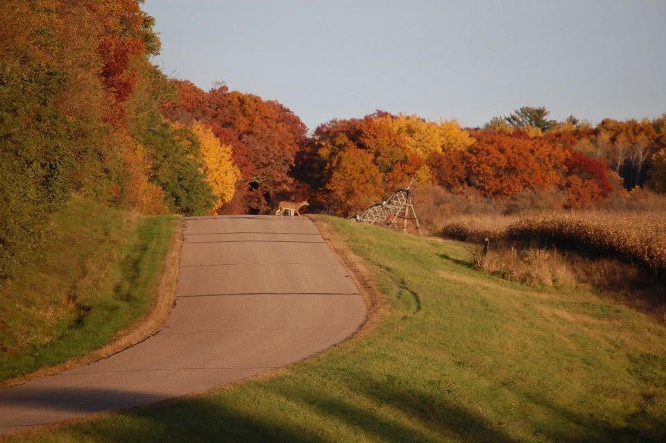 What’s happening in Wisconsin: Badger State Buzz (July 27-Aug. 2)
