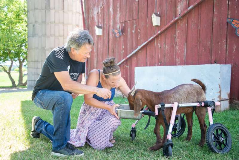 Wilson’s Wish in Luxemburg, “The Home of Second Chances” animal sanctuary