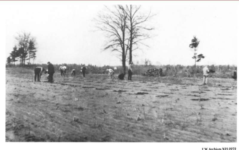 Wisconsin Dust Bowl