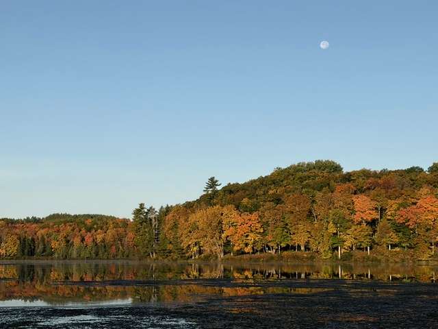 What’s happening in Wisconsin: Badger State Buzz (Oct. 5-11)